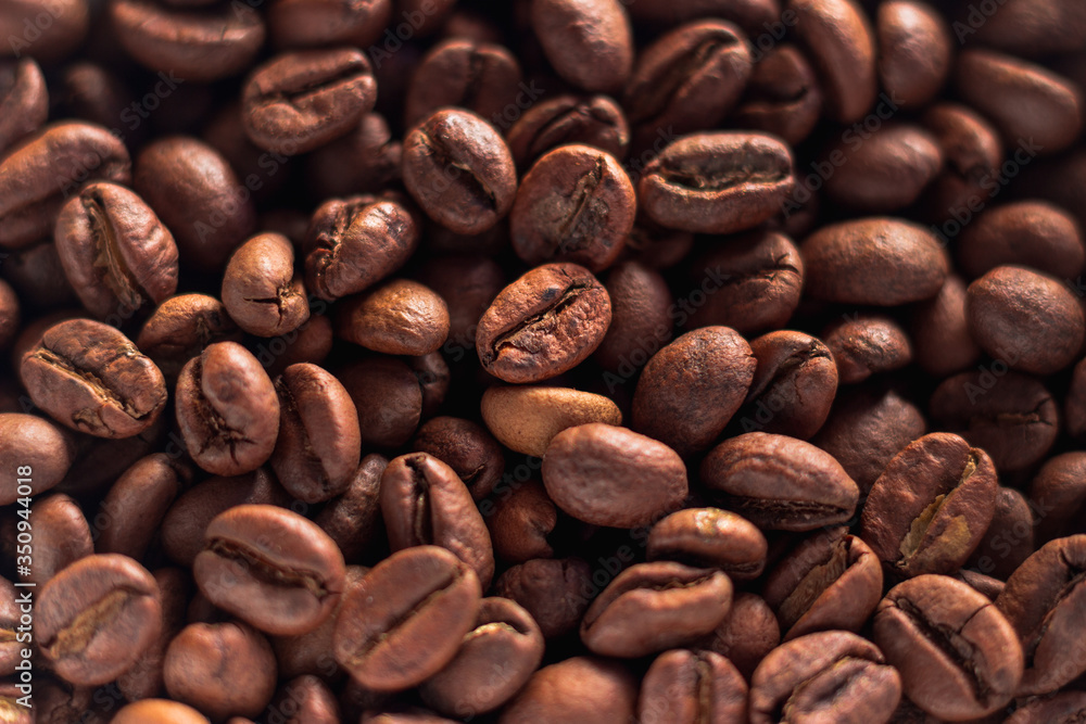 Fototapeta premium średnio palone ziarna kawy prosto z etiopii, 100% arabica