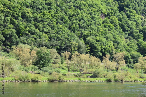 Blick auf die Mosel bei Moselkern photo