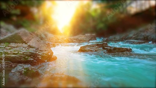 mountain stream in the forest