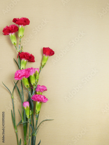 Bunch of red and pink carnations with pink ribbon on brown wooden background. Mother's Day background. © ginahsu