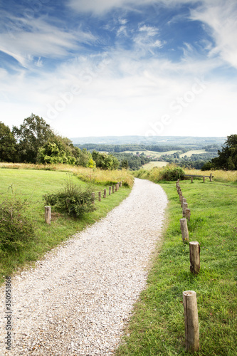 Obraz na płótnie pathway down to the surrey countryside w salonie