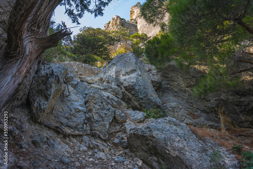 Huge stones and tree roots are in front. High mountains can be seen behind.