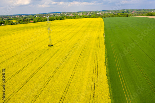 Drones flight and aerial view over a rape field