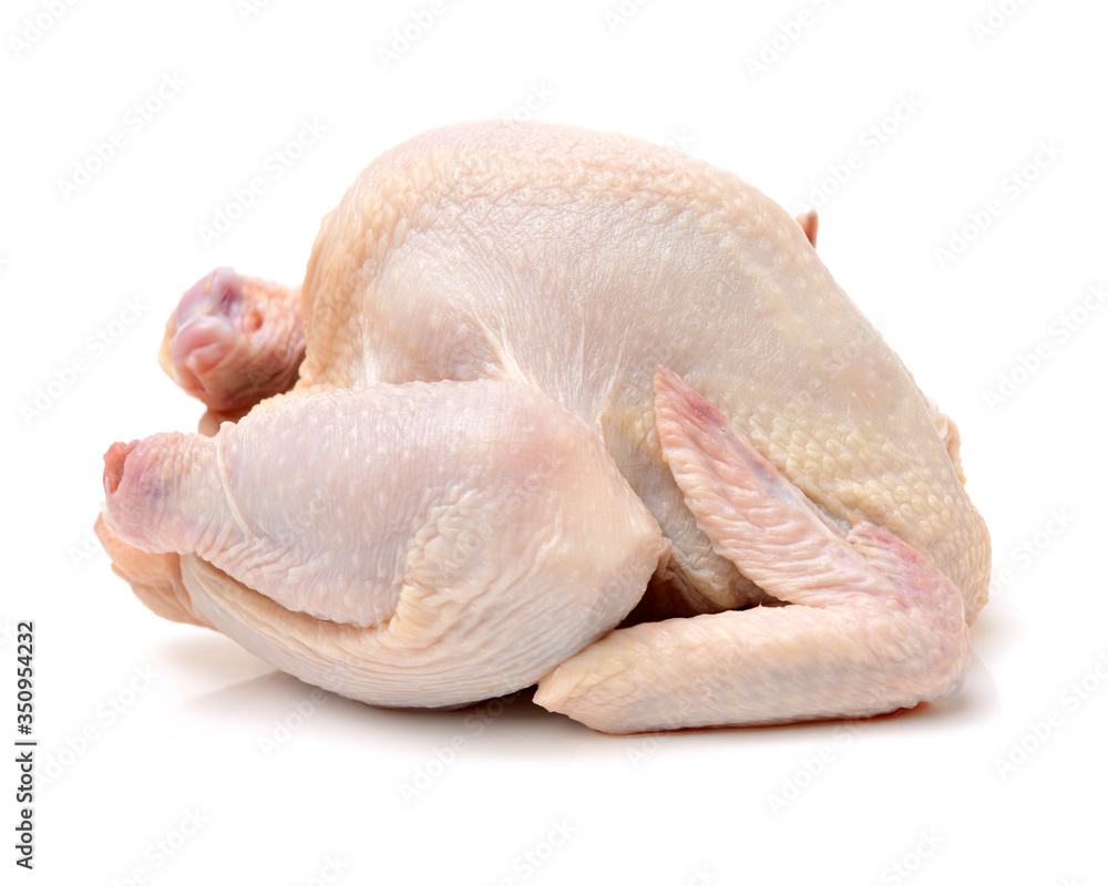 raw hen on a white background