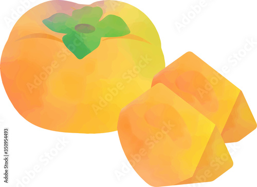 柿の水彩イラスト