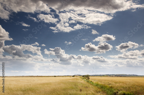 beautiful farmland in essex england