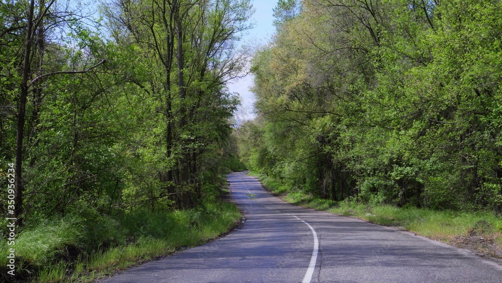Asphalt road through lush green vegetation. Asphalt road through lush green vegetation.