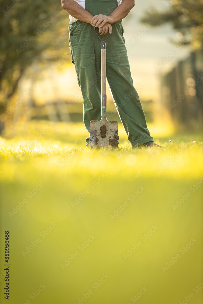 Senior gardener gardening in his permaculture garden - holding a spade