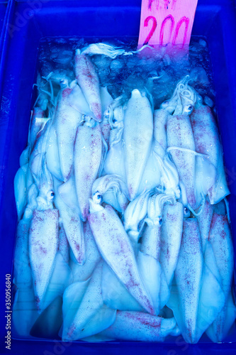 Fresh seafood on the counter at the fish market by the ocean.