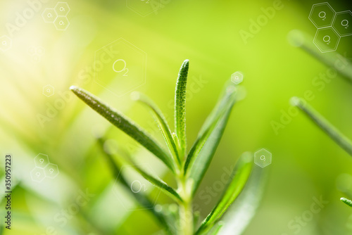 Natural fresh green leaf and oxygen icon over blurred background,enviroment concepts