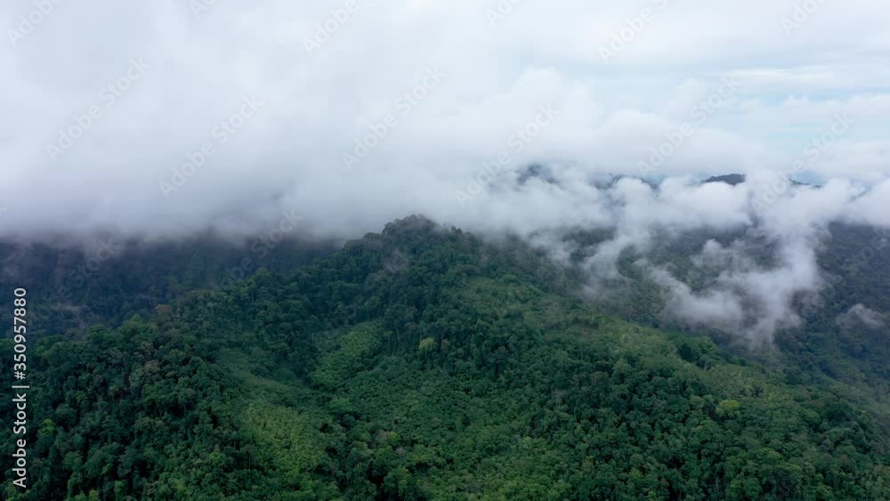Aerial view of mist and cloud over a beautiful tropical rainforest following a thunder storm Aerial view of mist and cloud over a beautiful tropical rainforest following a thunder storm