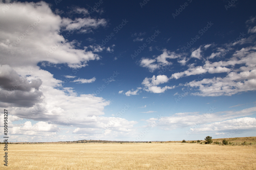 beautiful farmland in essex england beautiful farmland in essex england