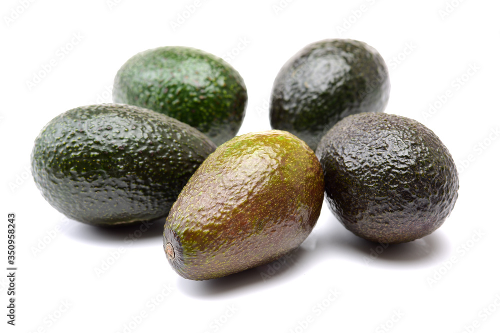 Avocado on a white background Avocado on a white background