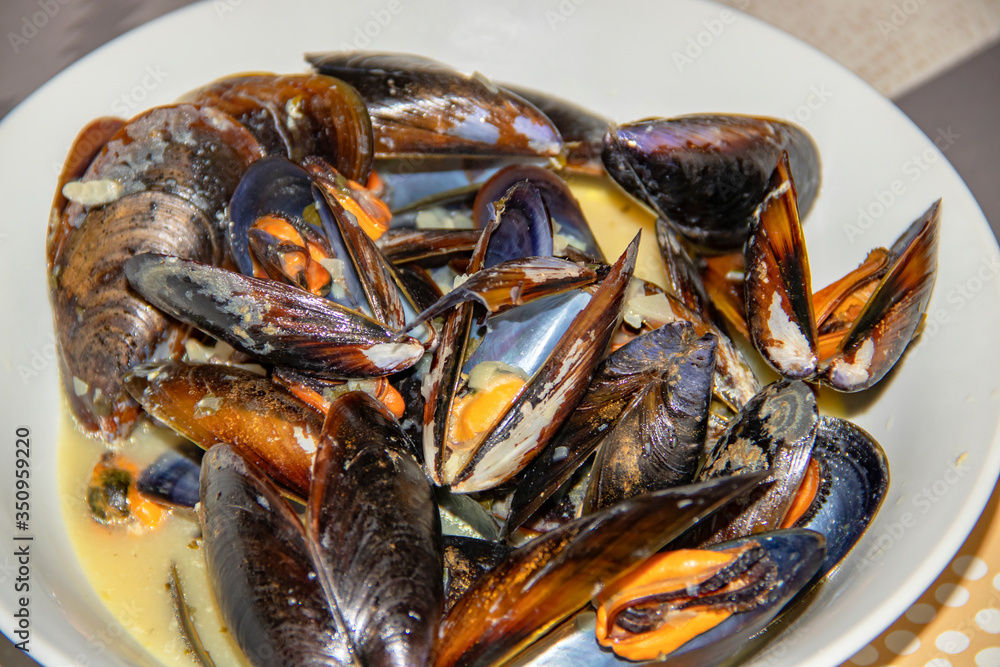 Assiette de moules à la crème des haricots coco de Paimpol, spécialité régionale Assiette de moules à la crème des haricots coco de Paimpol, spécialité régionale