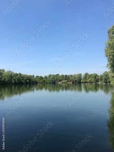 lake and trees