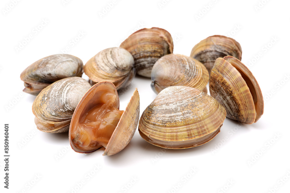 Stacked fresh raw clams on white background Stacked fresh raw clams on white background
