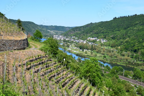 Blick auf die Mosel bei Moselkern photo