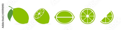 Lime slice vector citrus. Isolated citrus set of slices. Vector isolated illustration.