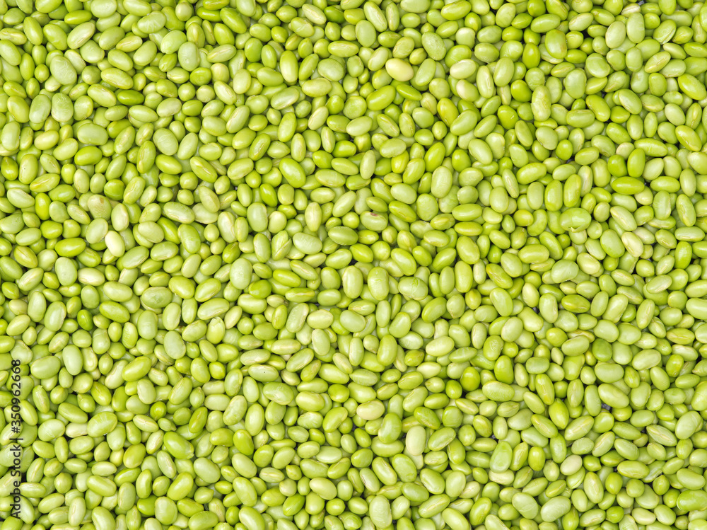 Green soybeans background Green soybeans background