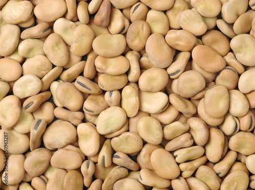 Εκτύπωση καμβά Pile of broad beans, background