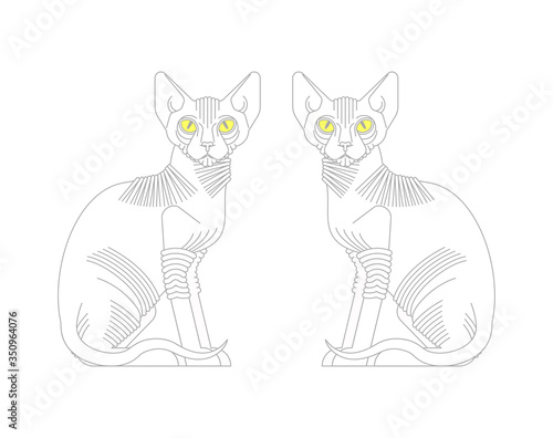 Sphynx cat isolated. hairless cat breeds. Pet vector illustration