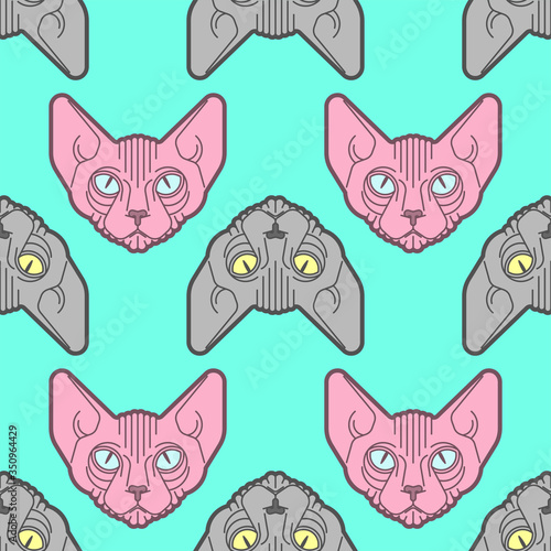 Sphynx cat pattern seamless. Pet background. Home animal texture. vector ornament