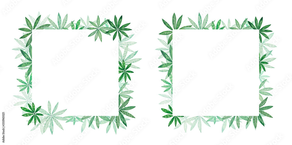 Square frames of hand painted watercolor Lupine leaves isolated on white background. Emerald green and light pastel green color illustration. Native and tropical theme. Copy space. Square frames of hand painted watercolor Lupine leaves isolated on white background. Emerald green and light pastel green color illustration. Native and tropical theme. Copy space.