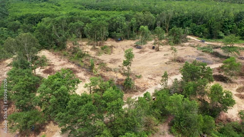 Aerial drone view of deforestation of a tropical rainforest ...