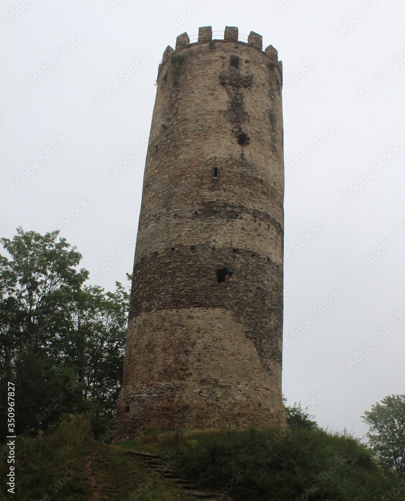 the tower of the castle