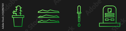 Set line Pipette, Cactus peyote in pot, Cocaine or heroin drug and Tombstone with RIP written. Gradient color icons