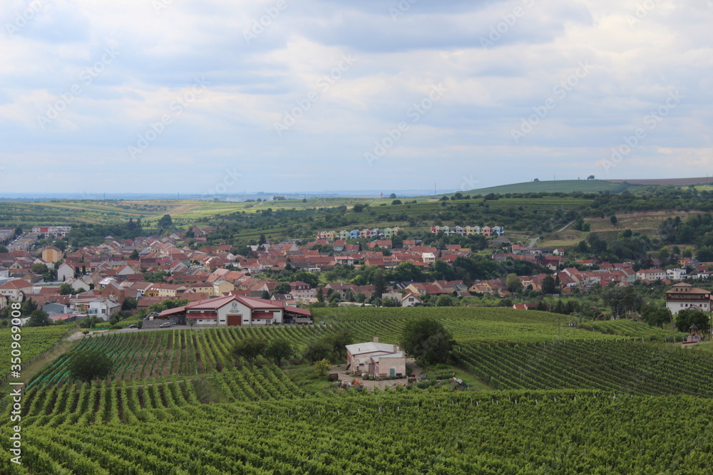 aerial view of a vineyard village