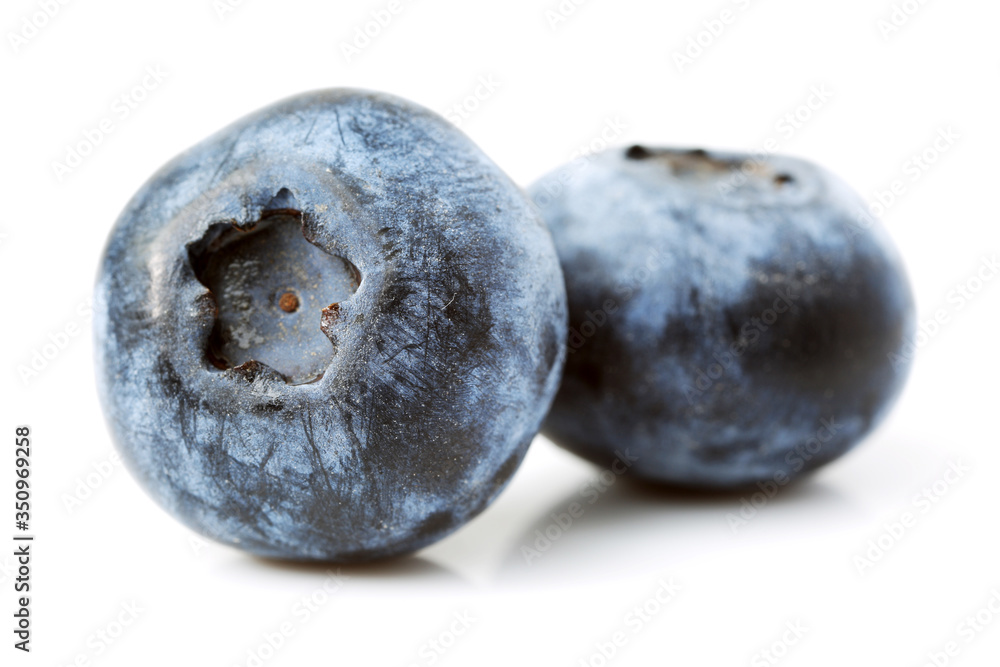 Obraz premium Blueberry on a white background
