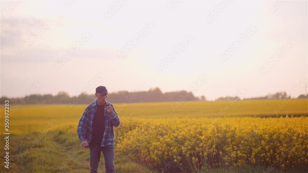 Contented Bald Farmer Smoking His Pipe On Field Contented Bald Farmer Smoking His Pipe On Field