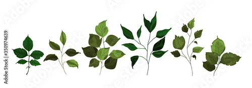 Collection of greenery branch leaves plant forest herbs tropical twigs spring flora in watercolor style. Vector botanical decorative illustration for wedding invitation card