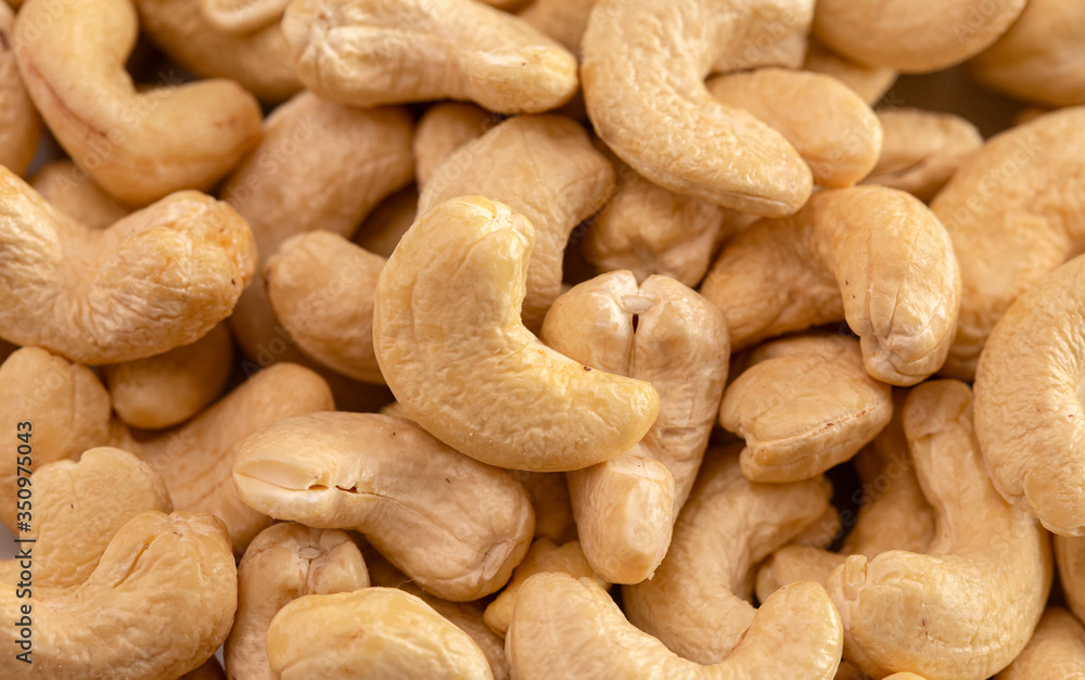 Background of Raw Natural Cashew Nuts Background of Raw Natural Cashew Nuts