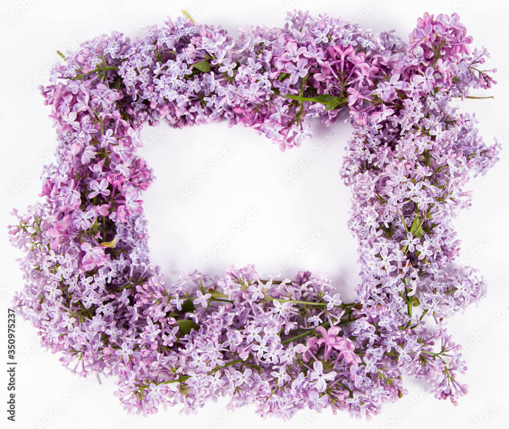 Garland of Lilac flowers on a white background with text space in the middle Garland of Lilac flowers on a white background with text space in the middle