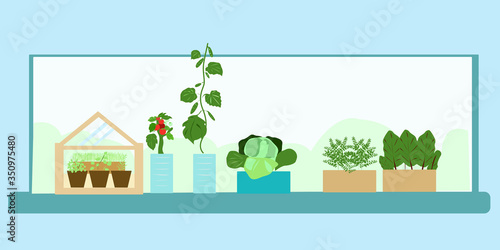 Home farm on the windowsill in the apartment