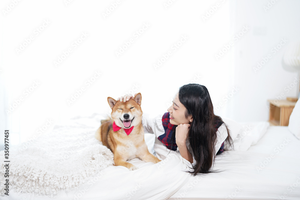 Pet Lover concept. An Asian woman is playing with a dog on a white bed in the bedroom..
