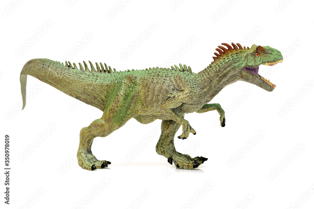 Fototapeta premium green tyrannosaurus on white background
