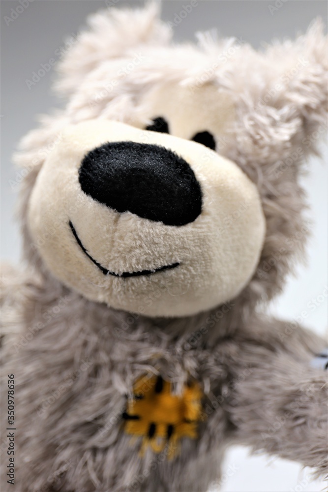 soft toy bear soft toy bear