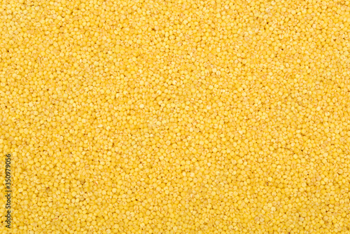 Yellow Millet background