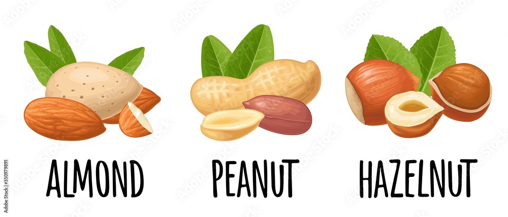 Set whole and half hazelnut, peanut, almond. Vector realistic icon. Set whole and half hazelnut, peanut, almond. Vector realistic icon.