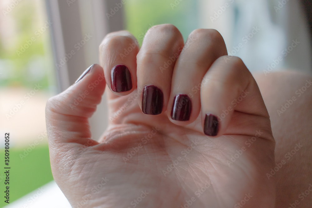 Naklejka premium Beautiful manicure. Nail polish being applied to hand, polish is a red color.