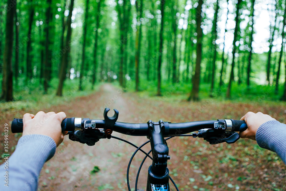 Mountain biking down hill descending fast on bicycle. View from bikers eyes.