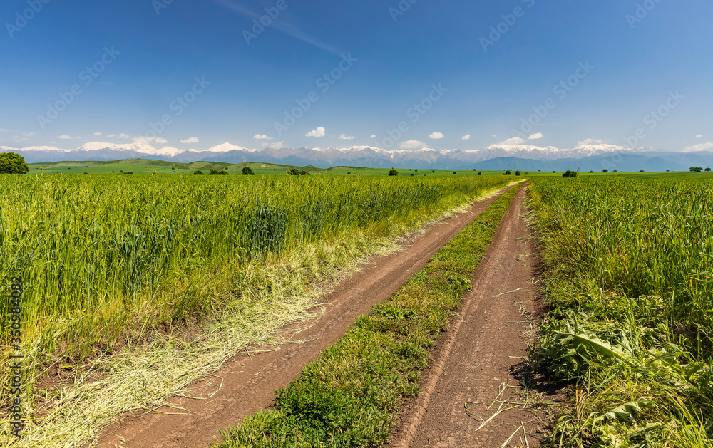 Naklejka premium Snow-capped mountains and green fields in spring