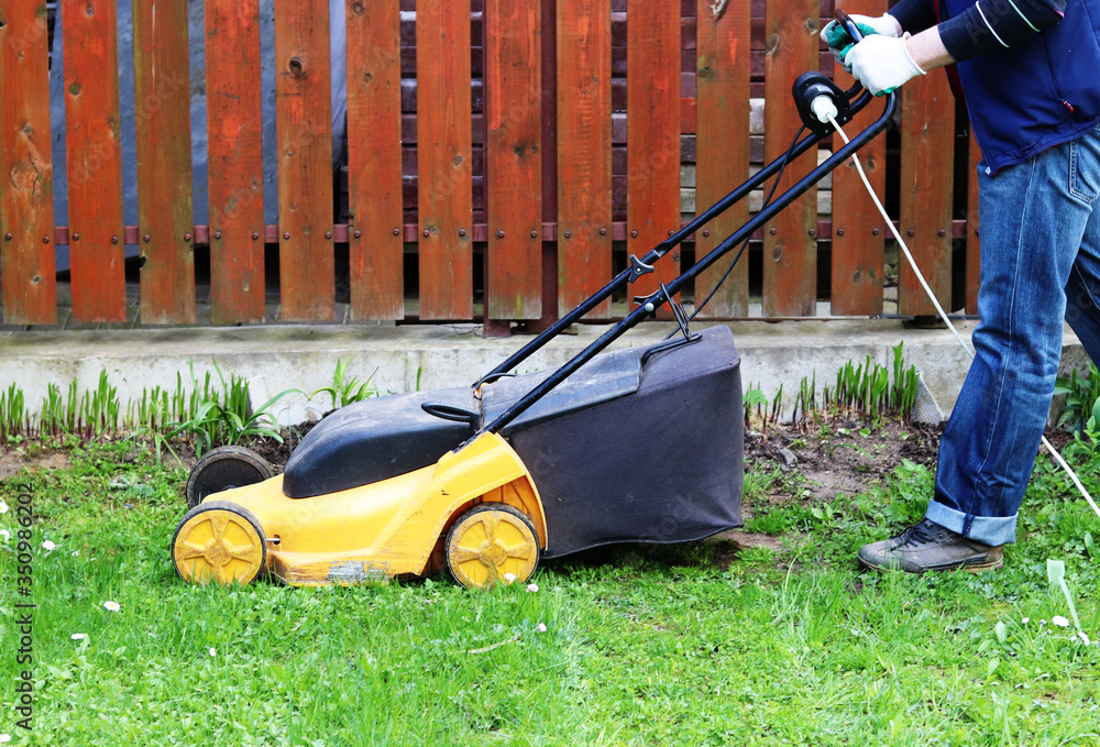 Fototapeta premium man mows grass with a lawn mower