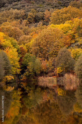 autumn landscape with reflections