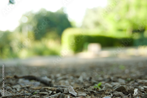 Suelo de tierra de un parque de Barcelona. Algunas piedras pequeñas
