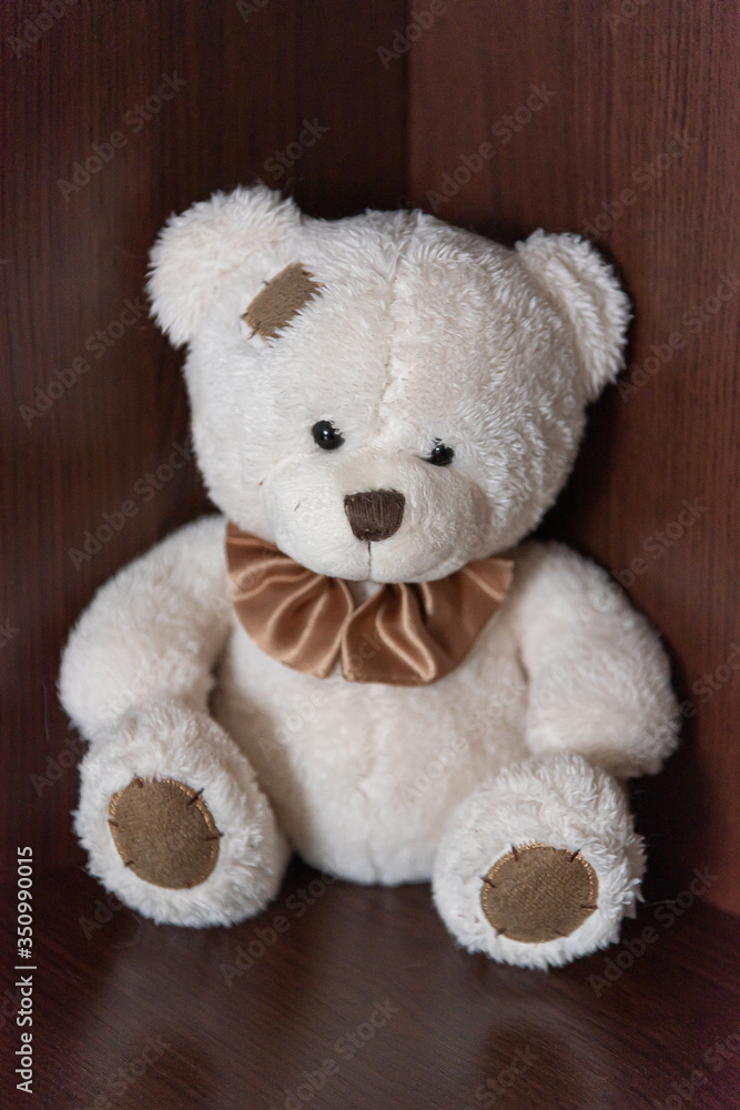 Small toy polar bear on a shelf in a closet Small toy polar bear on a shelf in a closet