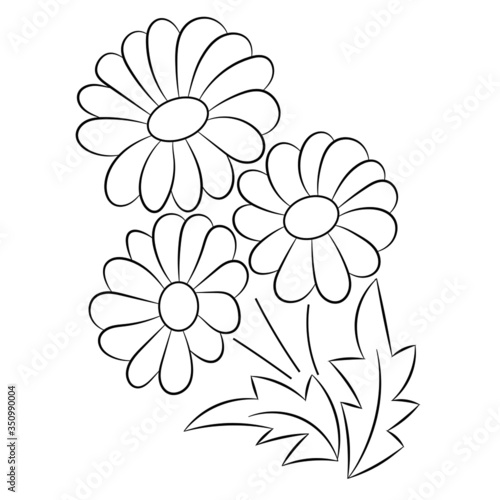 vector illustration of a flower plant with Leaves